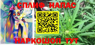 mdpv Краснознаменск