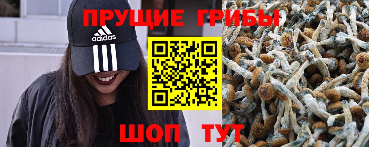 Галлюциногенные грибы прущие грибы Каменск-Уральский